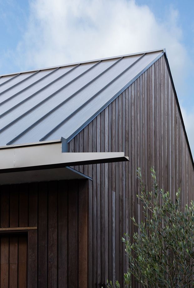 Close-up exterior view of a contemporary gabled building. The facade is clad in vertically arranged dark timber boards, paired with a light grey standing-seam metal roof and simple projecting eaves. A small portion of the entry canopy and doorway is visible, with a planted tree in the foreground and sky behind.