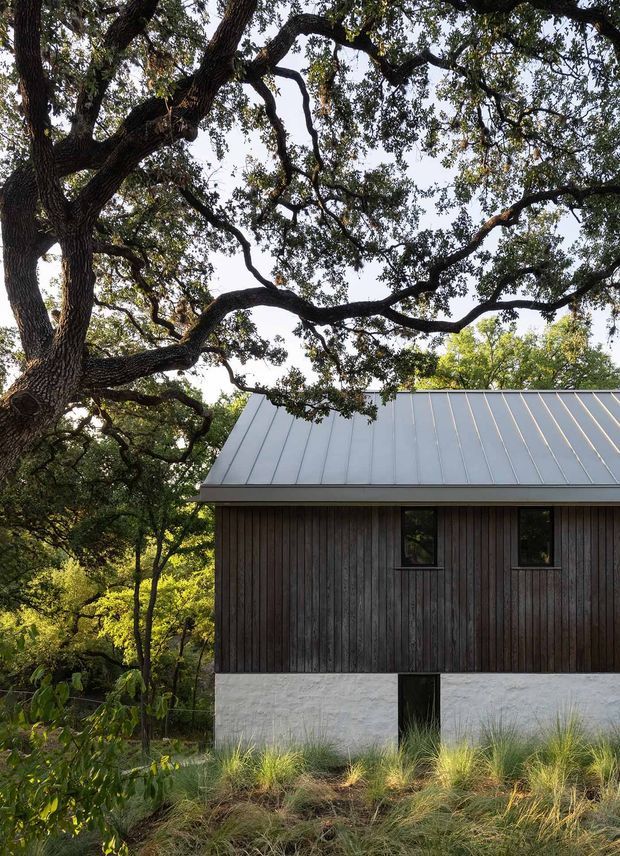 Exterior view of a compact contemporary building set within mature woodland. The structure has a simple gabled metal roof, dark vertical timber cladding, a pale concrete or masonry lower level, and narrow dark-framed windows. Large spreading trees dominate the foreground and canopy, with grasses and native planting around the base.