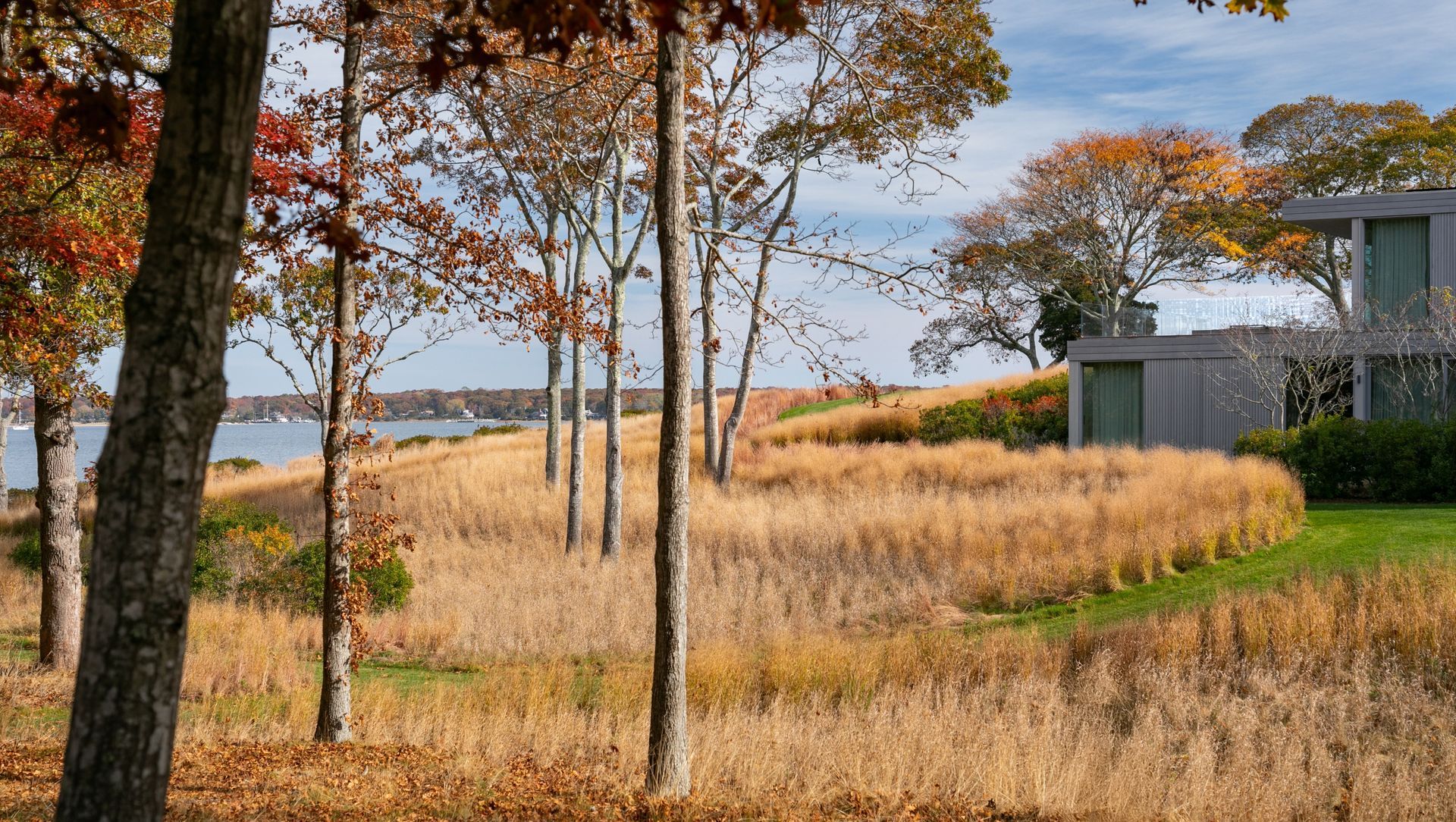 Springy Banks banner
