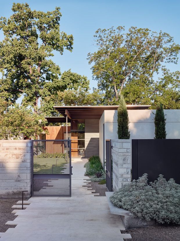 Contemporary residential entrance viewed from the street, with a paved walkway leading through a dark metal mesh gate to a recessed front door. The facade combines smooth pale rendered walls, grey masonry blockwork, warm timber screening, and a broad flat roof with exposed timber soffit slats. Tall narrow evergreen plantings, established trees, and layered low landscaping frame the entry.