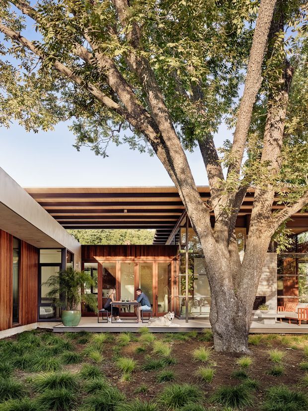 A contemporary single-storey residential courtyard or outdoor living area framed by mature trees. The home features extensive floor-to-ceiling glazing, warm timber cladding and doors, a broad exposed timber-and-metal slatted roof canopy, and sheltered indoor-outdoor seating. Low ornamental grasses and a large established tree form the foreground landscape, while a dining area and people are visible beneath the covered pavilion.