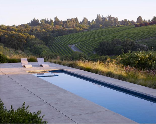 A tranquil outdoor pool terrace overlooking rolling cultivated vineyard rows and a wooded rural landscape. The long rectangular pool is edged with pale concrete or stone paving, with two minimalist loungers positioned beside it and natural grasses and shrubs framing the setting.