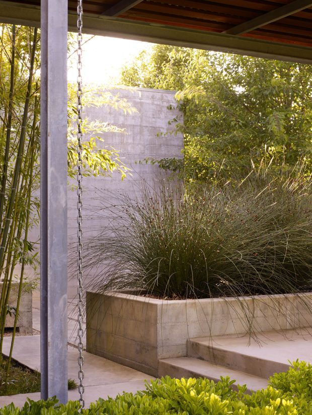 A sheltered contemporary outdoor courtyard or terrace viewed beneath a slatted roof structure. The space features pale concrete or rendered masonry columns and raised planter boxes, broad concrete steps, a rain chain, and dense ornamental grasses and planting. Warm sunlight filters through surrounding vegetation, creating a calm, organic garden setting.