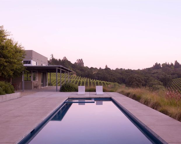 A modern single-storey house and covered outdoor terrace beside a long rectangular swimming pool. The pool is surrounded by broad pale concrete paving, with minimal dark edging and two simple white outdoor loungers or benches. Beyond the property, orderly vineyard rows extend across a rolling rural landscape, creating a tranquil dusk scene.
