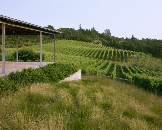 A modern open-sided pavilion or covered terrace sits at the edge of a landscaped rural property, overlooking orderly rows of vineyard or agricultural planting on a gently sloping, heavily vegetated site. The structure has slender vertical supports, a thin metal roof, and a broad paved terrace. Ornamental grasses, shrubs, and dense woodland surround the building.
