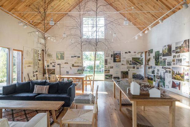A bright, high-ceilinged studio-like living and work space with extensive architectural presentation boards, sketches, photographs, and material samples displayed across the walls. The room features a warm timber-lined pitched ceiling with exposed rafters, pale walls, polished timber flooring, a large central worktable, seating, track lighting, and a rear glazed doorway opening to greenery. Branch-like suspended or decorative elements rise through the space, creating an airy gallery-office atmosphere.