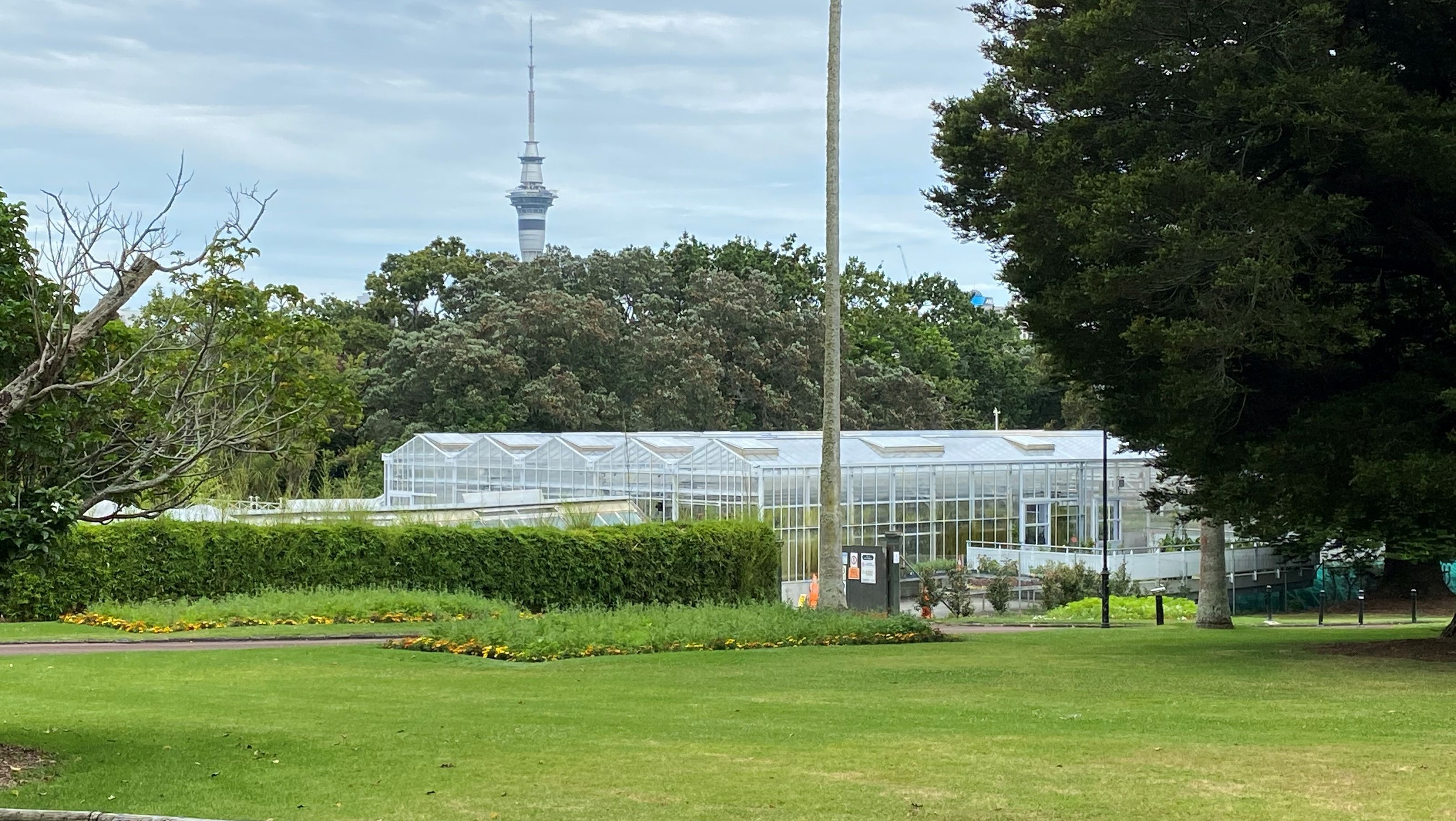 Domain Glasshouses