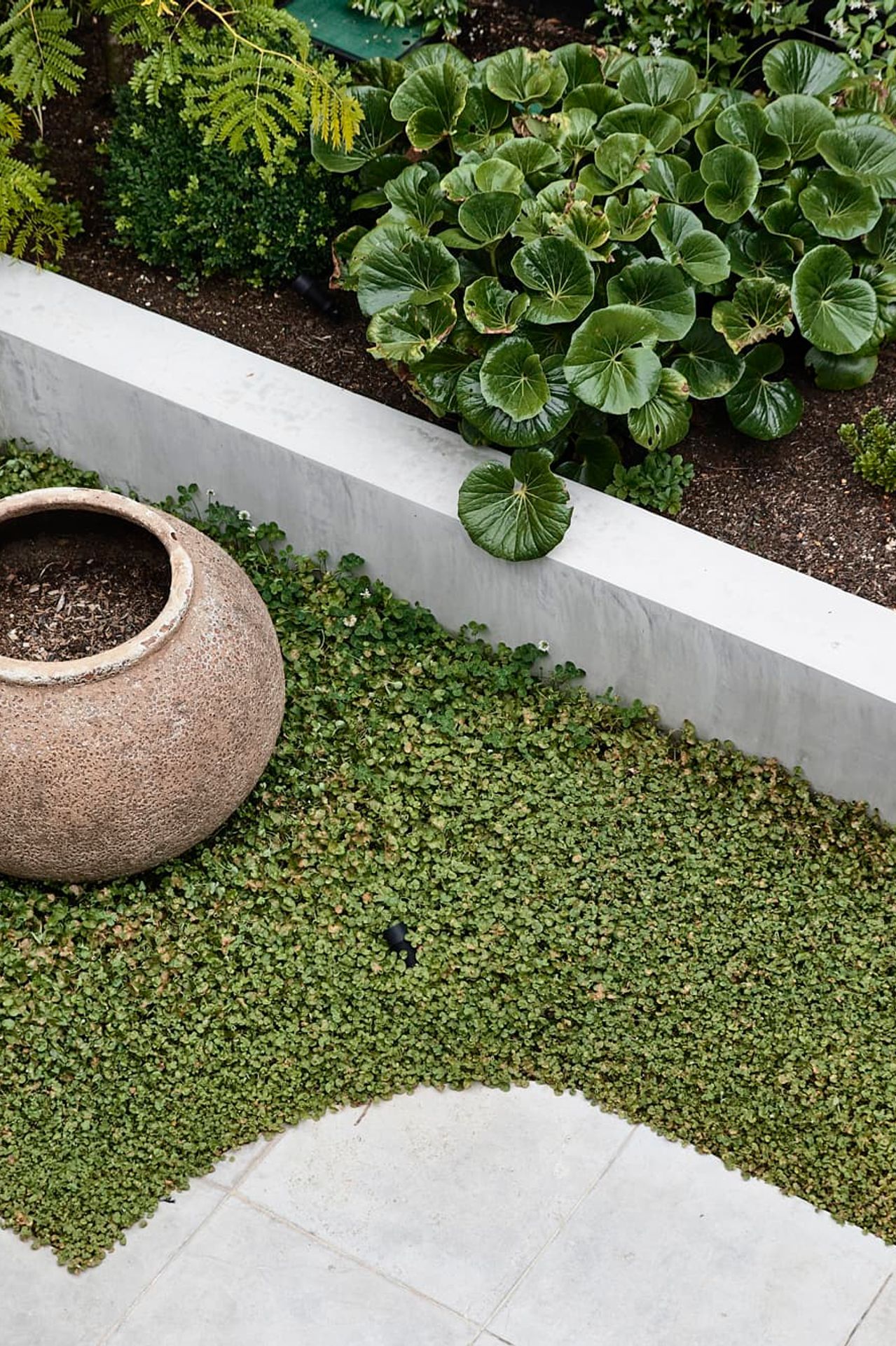 Hawksburn-Residence08-LO-RES.jpg