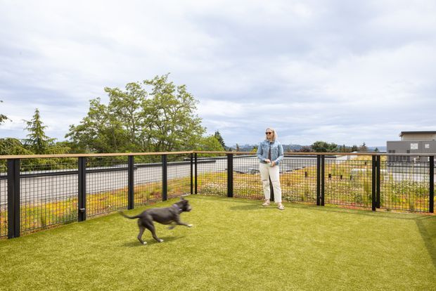 A fenced elevated outdoor terrace or deck surfaced with artificial grass, overlooking a suburban landscape. A black metal framed mesh balustrade surrounds the area, with a person and dog present. The scene is bright and open, with distant hills and rooftops visible beyond the property.