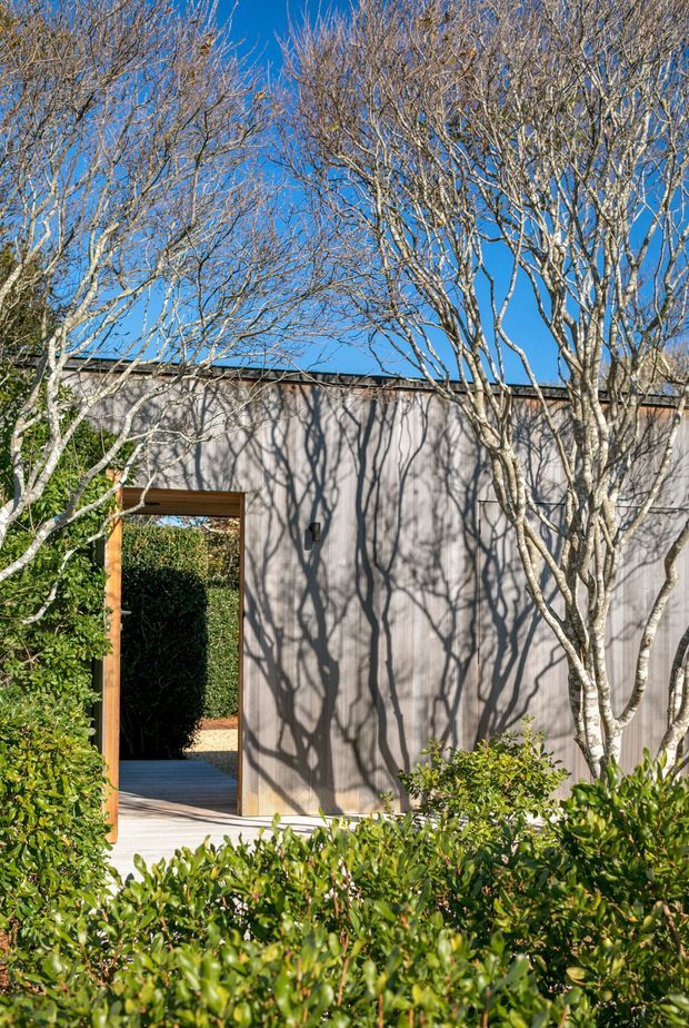 A landscaped exterior courtyard or garden passage featuring a tall, simple grey rendered or clad wall with a timber-framed open doorway. A paved walkway passes through the opening, bordered by dense clipped hedges and mature leafless trees whose shadows create a strong pattern across the wall. The scene is sunlit under a clear blue sky and has a restrained contemporary garden design.