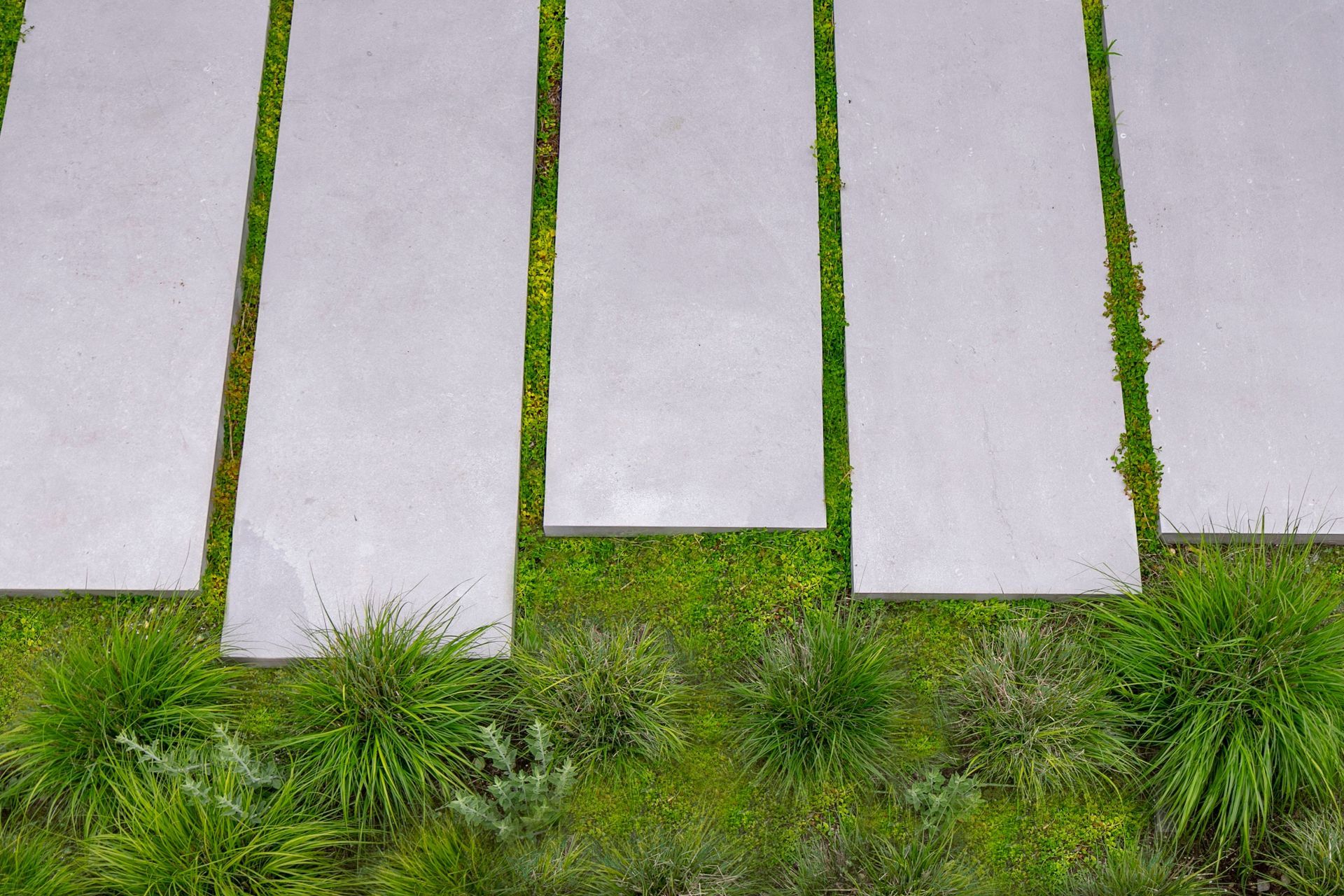 LDG2020SimonCrisafulli017EDIT2-ap-compressed.jpg