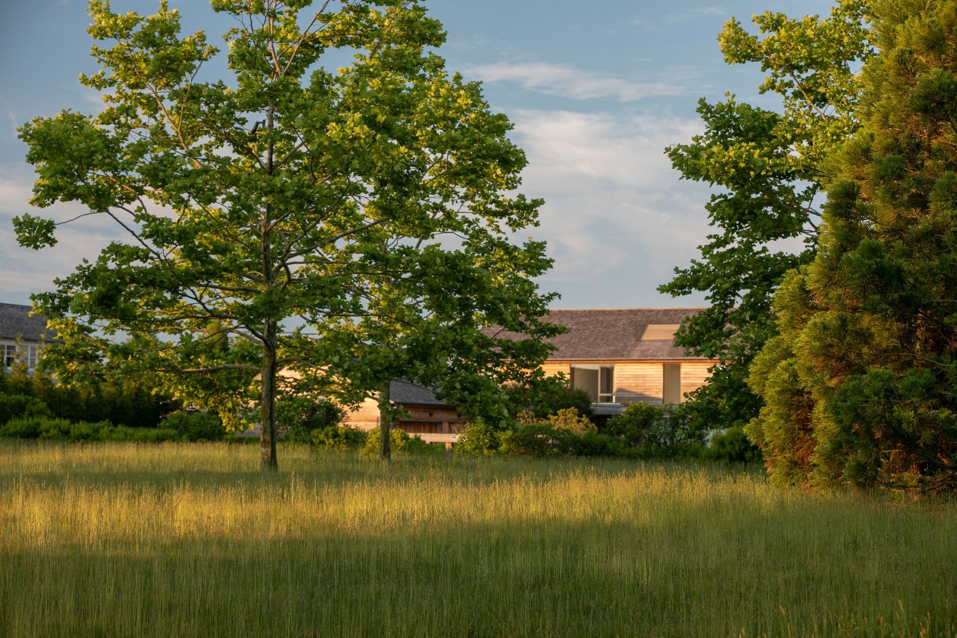 PeconicLawnCare2022Turkewitz004-ap-compressed.jpg