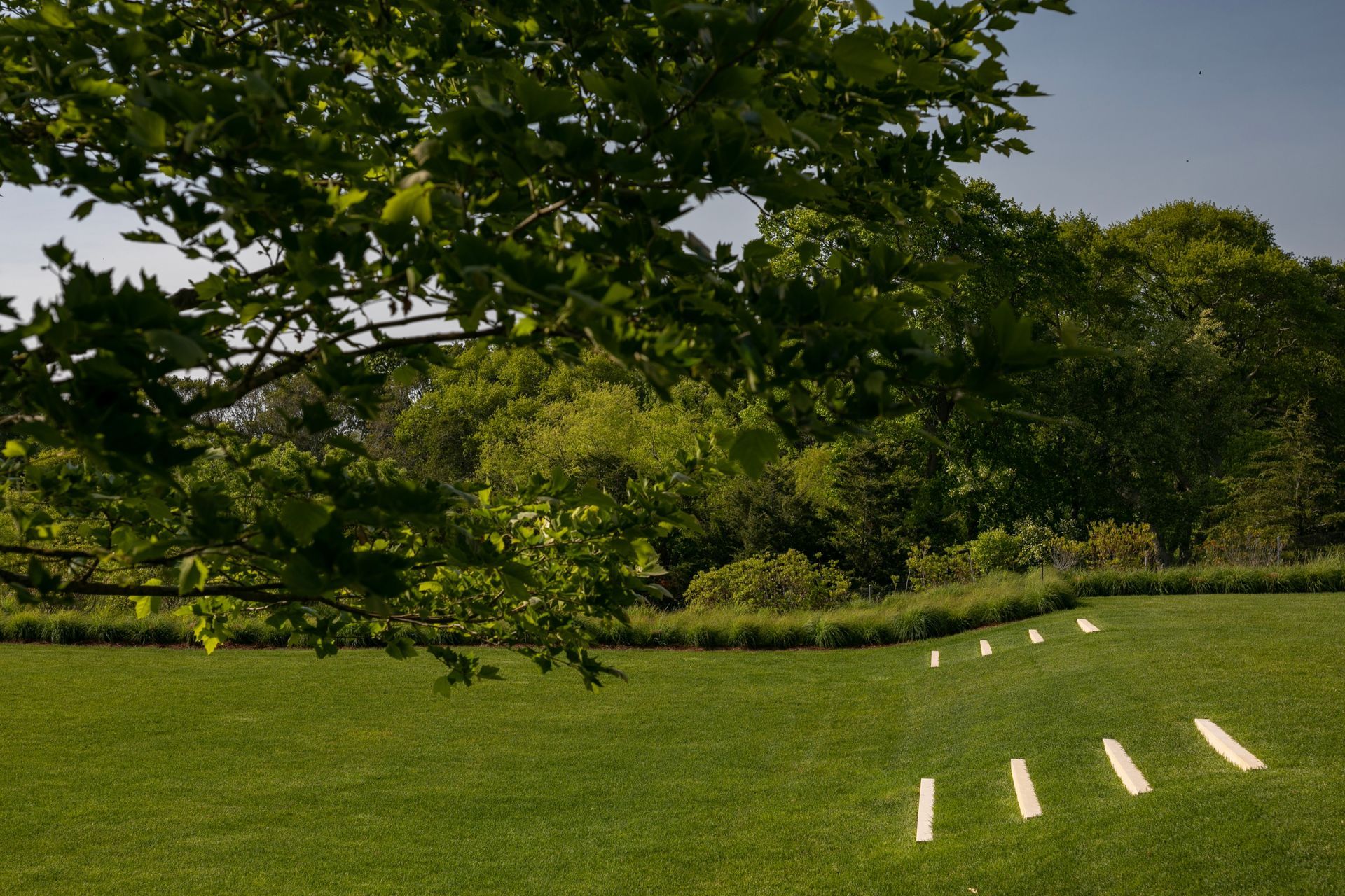 PeconicLawnCare20230530040-ap-compressed.jpg