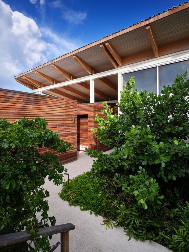 Exterior view of a low-rise contemporary home surrounded by dense landscaped greenery. The building features warm horizontal timber cladding, a broad projecting roof with exposed timber rafters and a corrugated roof edge, white-framed glazing, and a sheltered entry walkway through the garden.