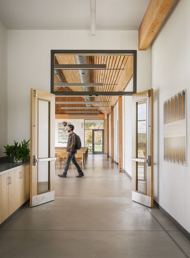 A bright institutional or commercial interior viewed from a hallway through open double doors. The corridor has smooth concrete flooring, white walls, timber-framed glazing and doors, built-in light timber cabinetry with a dark countertop, and a timber-lined ceiling with exposed metal ductwork and beams. A dining or communal area is visible beyond, with wall-mounted graphic panels and a person walking through the space.