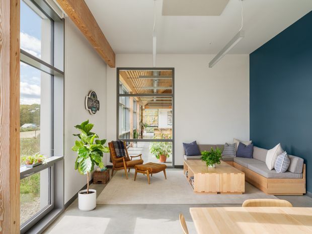 Bright contemporary living room with a high ceiling, large black-framed windows, exposed timber beam and ceiling structure, polished concrete flooring, and a deep blue feature wall. A neutral sectional sofa, timber coffee table, lounge chairs, indoor plants, and partial dining table create a warm, airy open-plan interior. Glazed doors lead to a sunlit adjoining space.
