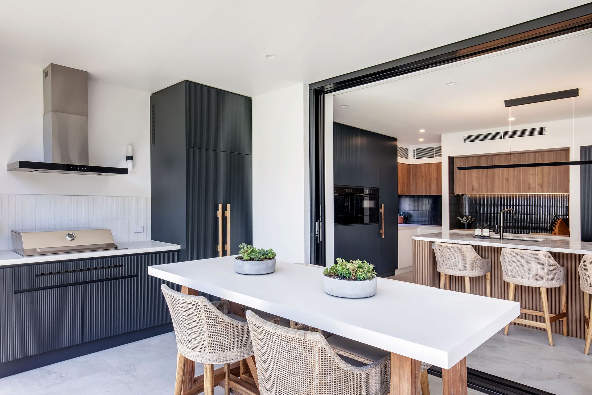 freshwatercollaroy013.jpg