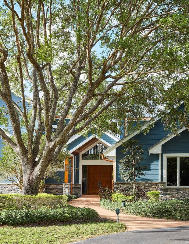 A landscaped front exterior of a blue-clad home, partly screened by a large mature tree. The facade features horizontal blue weatherboards, contrasting white trim, a gabled entry porch, a dark stone veneer base, and a substantial timber front door. Curved planting beds and a paved walkway lead from the driveway to the entrance.