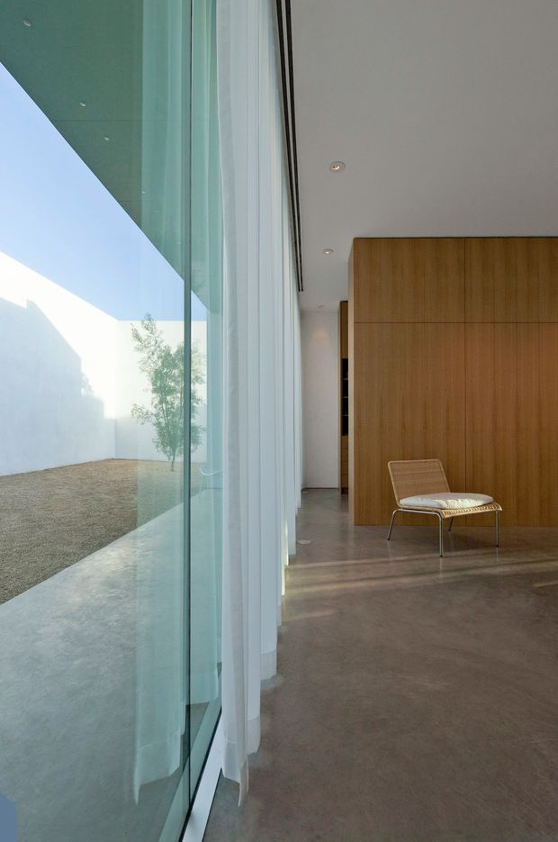 A minimalist modern interior viewed alongside a full-height glazed wall overlooking a small enclosed courtyard. The space has polished concrete flooring, a plain white ceiling with recessed downlights, sheer white curtains, and a large full-height timber feature wall with integrated shelving. A single low upholstered lounge chair provides the only visible furniture. Strong daylight, clean lines, and the restrained material palette create a quiet, refined atmosphere.