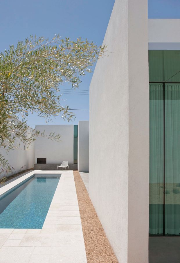 A minimalist modern courtyard with a narrow rectangular swimming pool bordered by pale stone paving. Tall smooth white rendered walls and a projecting geometric facade frame the space, with full-height glazing covered by muted green curtains. A mature olive tree softens the otherwise crisp architectural composition, while a simple white chair and dark outdoor bench provide sparse furnishings.