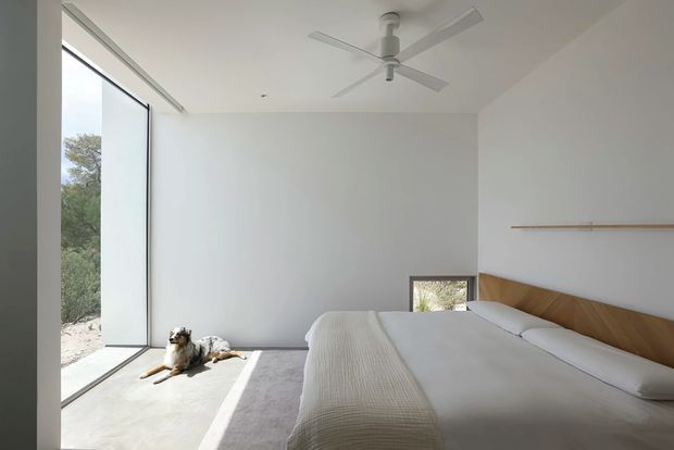Bright minimalist bedroom with a low platform bed, white bedding, a warm timber headboard, white plaster walls, pale flooring, a ceiling fan, and a large floor-to-ceiling glazed opening overlooking greenery. A small dog is resting in a patch of sunlight near the opening.