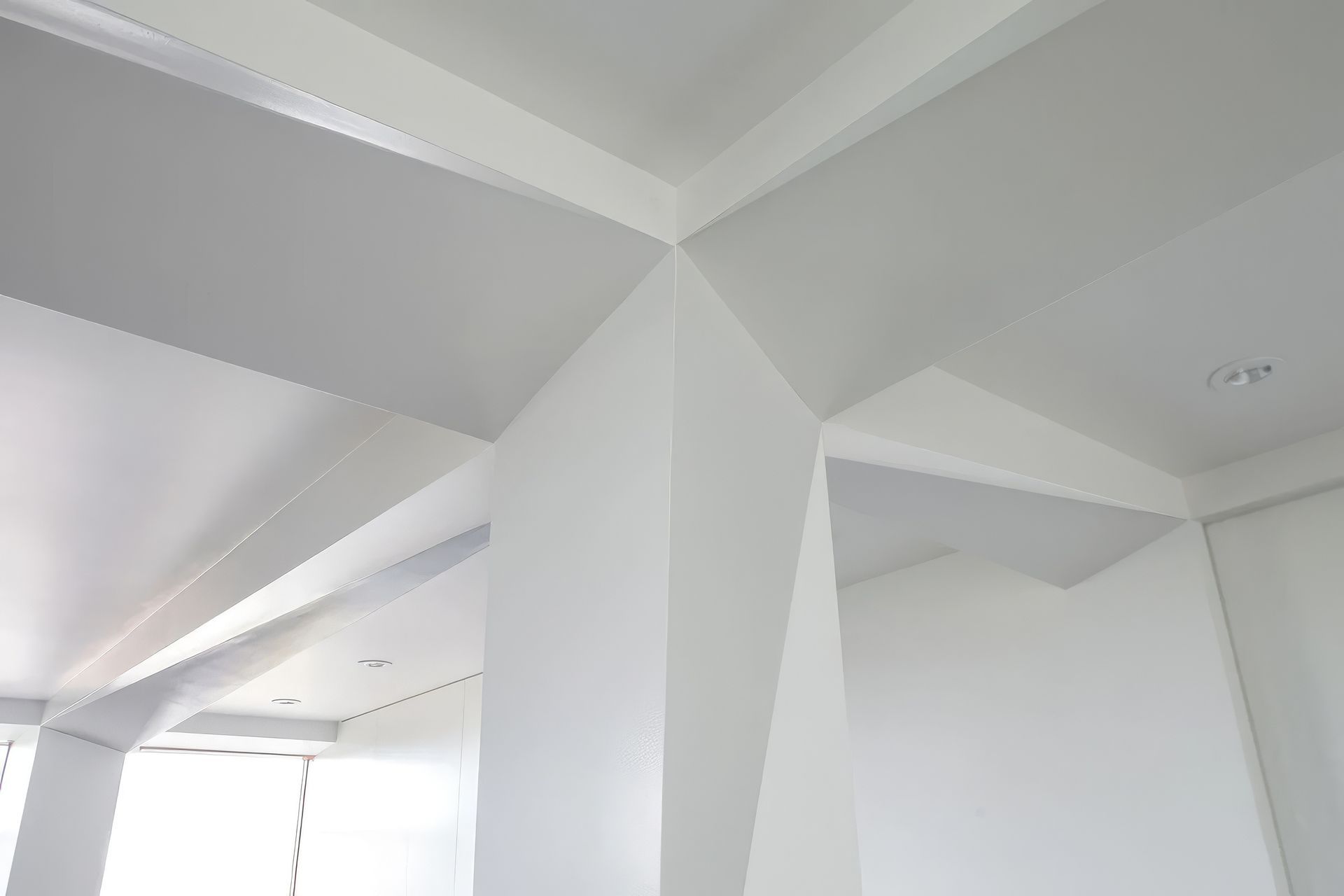 imgi19TreeIMG4869-upscaled-by-Replicate.jpg