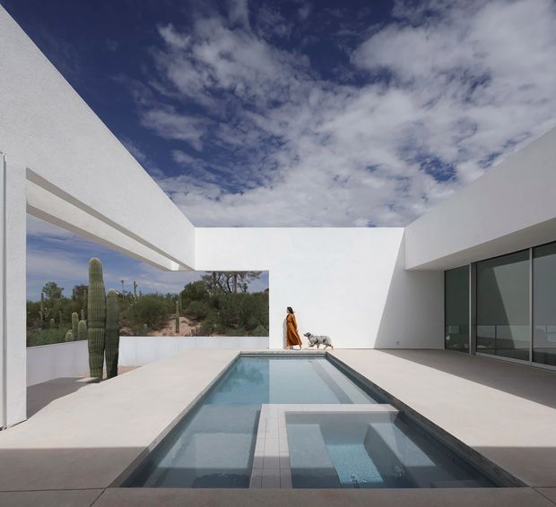 A minimalist modern courtyard centered on a long rectangular swimming pool with integrated shallow steps or a spa section. White rendered walls and strong geometric overhangs frame an open view toward a desert landscape with tall cacti. Large dark-framed glazed doors line the right side, while a person and dog provide scale. The image has a bright, serene, sculptural atmosphere and a strong indoor-outdoor connection.