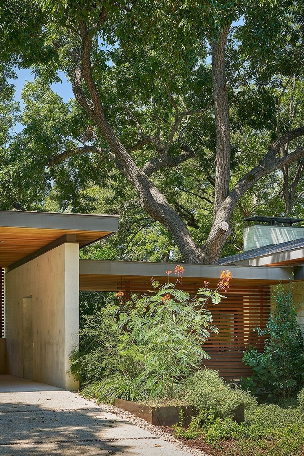 imgi23resizedDB02300-33carport-landscape.jpg