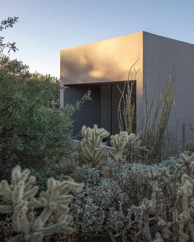 A minimalist contemporary flat-roof building with a simple cubic form, smooth dark grey exterior walls, and a warm golden-toned front facade around a recessed entry. Dense drought-tolerant planting, including silvery shrubs and cacti, fills the foreground and partially obscures the building. The image has a restrained, sculptural desert-landscape character.