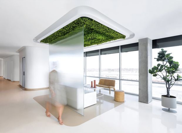 Bright, minimalist contemporary interior with a glossy pale floor, full-height glazed windows, exposed concrete structural columns, and a distinctive suspended triangular ceiling feature lined with dense green planting. A compact seating area and potted tree occupy the window zone, while a curved white partition and blurred figure sit in the foreground. The space feels airy, clean, and highly modern.