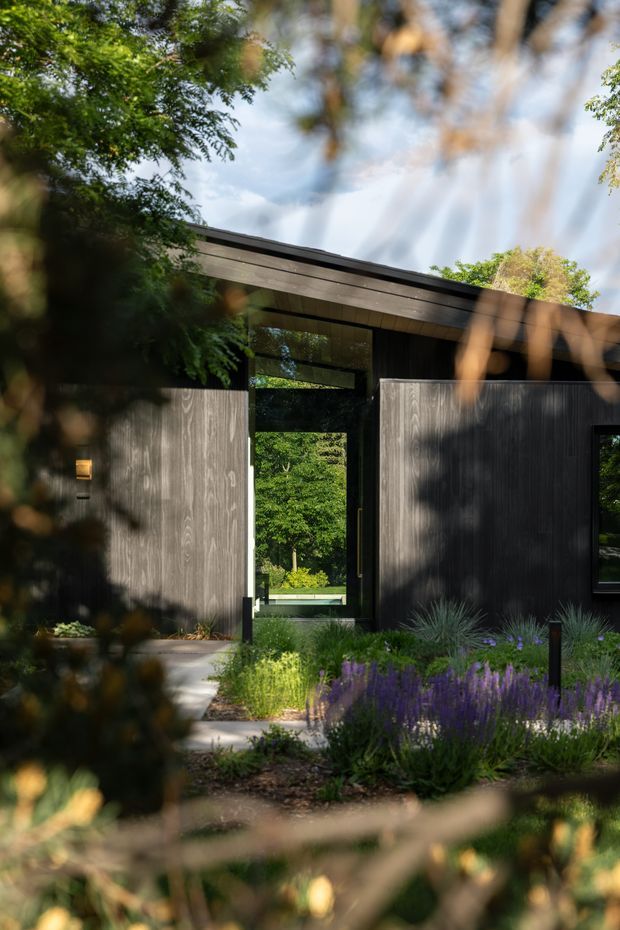 A contemporary single-storey house entrance viewed through leafy garden planting. The dark charcoal facade features vertically textured timber cladding, a low-pitched roof with broad eaves, black-framed glazing, and a recessed glazed entry door. Ornamental grasses and purple flowering plants line the pathway, while trees partially screen the building in the foreground.