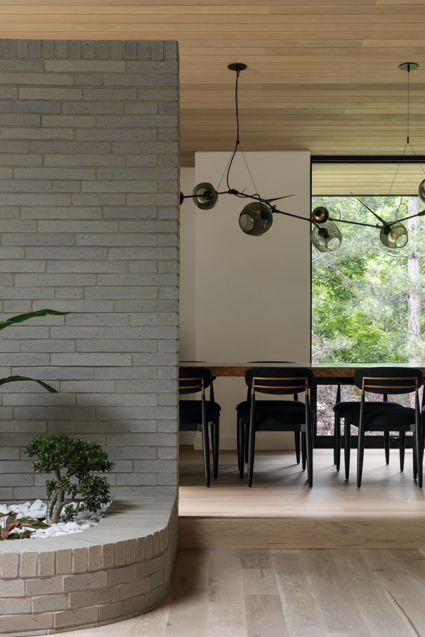 Interior view of a refined dining area beside a curved, white-painted brick planter or fireplace surround. The room features a light timber-lined ceiling, pale timber flooring, a large glazed window overlooking greenery, a long timber dining table with dark chairs, and sculptural black-and-brass spherical pendant lighting. A bonsai-style indoor planting bed with white stones occupies the foreground.