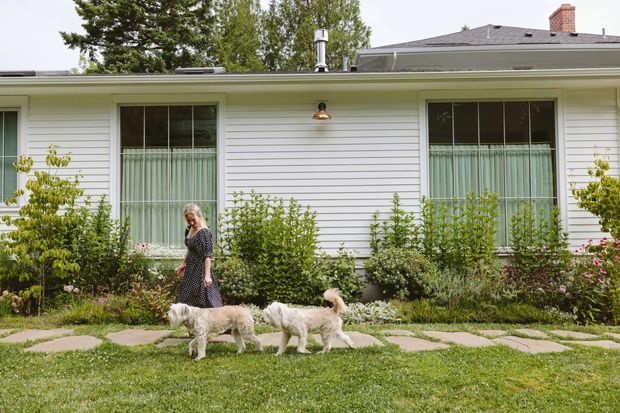 Single-storey residential house exterior with white horizontal weatherboard cladding, large divided windows with curtains, a low hipped roof, and a landscaped front garden with stepping-stone paving. A person walking two dogs is present in the foreground.