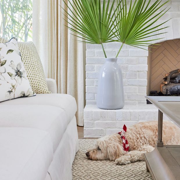 Bright, cozy living room vignette with a white slipcovered sofa, patterned cushions, a white-painted brick fireplace, and a large white ceramic vase holding palm fronds. A low coffee table, textured rug, fireplace logs, and a small dog add warmth and character. The room has abundant natural light and a soft neutral palette with green botanical accents.