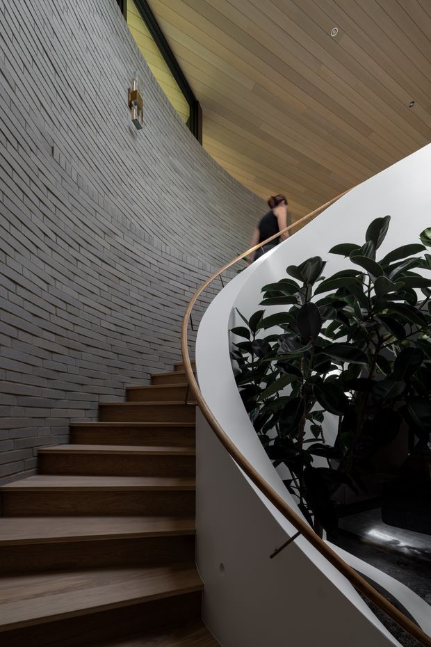 A dramatic interior view of a curved staircase rising beside a textured grey brick wall. The stair treads and handrail are timber, while a smooth white curved balustrade encloses a planted void with glossy dark green foliage. A timber-lined ceiling and recessed downlights complete the refined, sculptural composition.