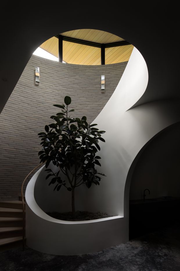 Dramatic interior architectural photograph of a sculptural curved staircase wrapping around an indoor planted atrium. The space features a curved pale brick wall, smooth white plastered forms, dark structural framing, a warm timber-lined ceiling with clerestory glazing, integrated wall lights, and dark flooring. The composition emphasises flowing organic geometry and strong contrast between shadow and daylight.