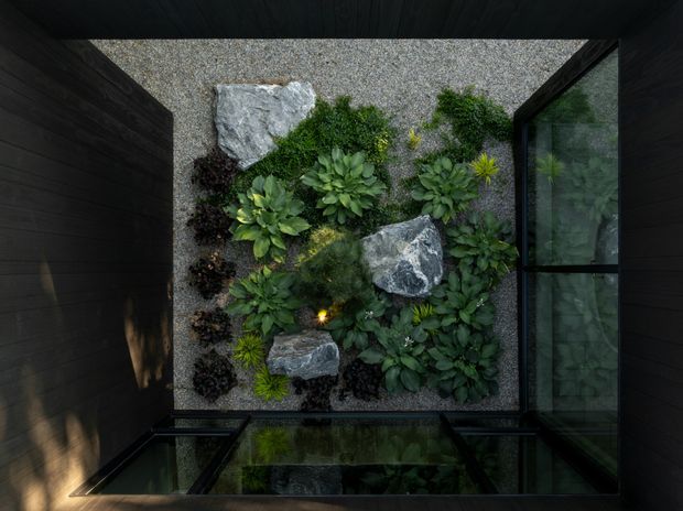 A top-down view into a compact enclosed courtyard garden, framed by dark timber-clad walls and large glazed openings. The landscaped centre contains layered green planting, ornamental grasses, dark groundcover, pale gravel, several large natural boulders, and a small warm accent light. Glass roof or glazing at the lower edge reflects the planting, creating an intimate, carefully composed architectural garden space.