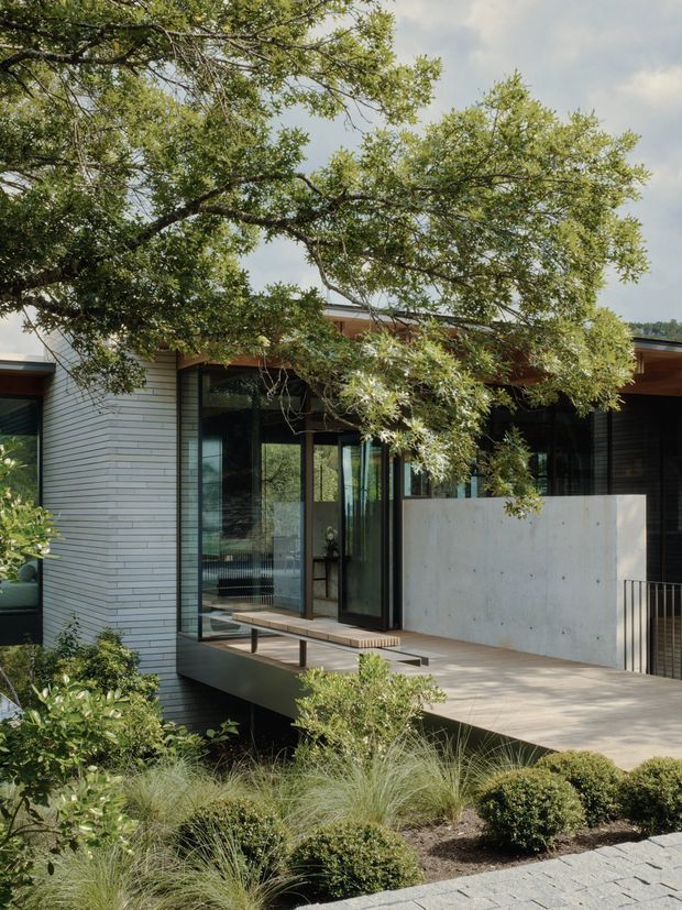 Contemporary single-storey house partially screened by mature trees, with pale horizontal masonry cladding, extensive dark-framed glazing, a cantilevered timber-toned deck, and a smooth concrete privacy wall. Carefully landscaped planting and a paved walkway frame the elevated entrance terrace.