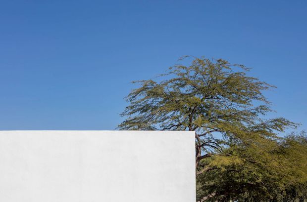 Minimal exterior architectural view showing a plain white rendered wall or parapet occupying the lower portion of the frame, with a flat horizontal roofline and mature spreading trees behind it against a clear blue sky. The composition is sparse and strongly geometric, with no visible doors, windows, or interior spaces.