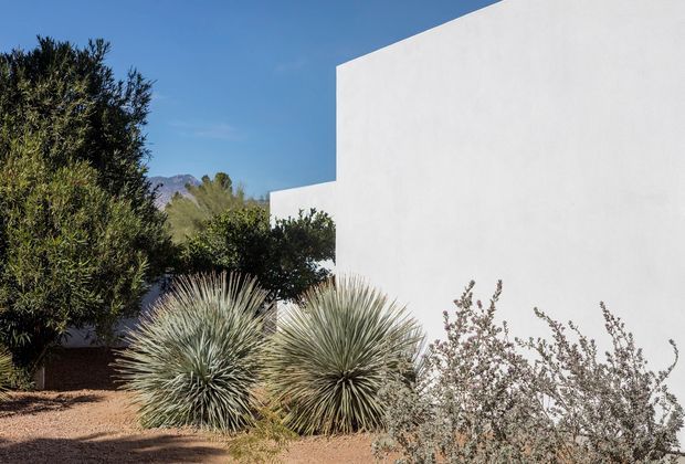 Exterior view of a minimalist white stucco building with crisp cubic forms, set within a dry, desert-style landscaped garden. Large sculptural yucca/agave plants, gravelly ground, mature shrubs, and distant rugged mountains create a restrained southwestern setting under a clear blue sky.