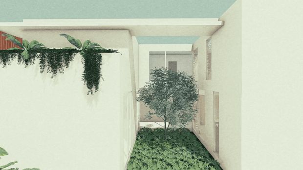 A pale, minimalist architectural courtyard or narrow garden passage viewed between light-coloured walls. The space features a central leafy tree, dense low planting, and cascading greenery spilling from the upper left wall, with a simple flat roof or overhead structure and tall glazed openings in the background.