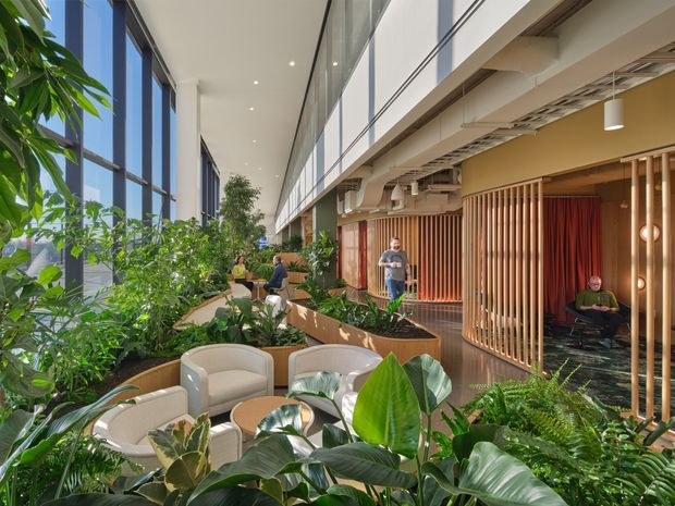 A bright, contemporary commercial interior designed as a biophilic communal workspace or lounge. The open-plan space features extensive floor-to-ceiling glazing, abundant tropical indoor planting, curved upholstered seating, timber tables, vertical timber screening, and warm wood-lined breakout rooms. Exposed services and suspended cylindrical lighting contribute to the workplace character, while a high glazed volume creates an airy atmosphere.