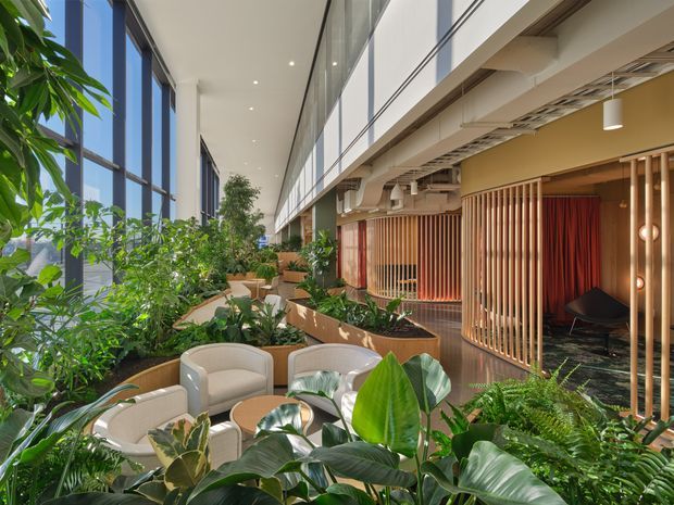 A lush indoor commercial atrium or breakout lounge with abundant tropical planting, curved upholstered lounge chairs and small round tables in the foreground. The space features expansive floor-to-ceiling glazing on one side, a long upper-level glazed partition, exposed ceiling services, warm timber vertical screens, and curtained private seating or meeting areas. The overall design is contemporary, biophilic, and warmly finished.
