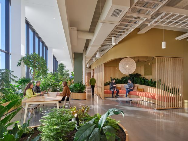 A bright, contemporary commercial interior resembling a workplace lounge or collaborative office. Floor-to-ceiling glazing lines the left side beside communal tables and indoor tropical planting. The space features polished concrete flooring, warm timber screening and wall finishes, built-in upholstered bench seating in coral tones, pendant lighting, and an exposed services ceiling with suspended cable trays and ducts. Several people are using the tables and lounge area.