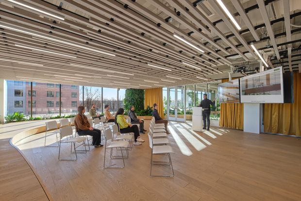 A bright, open-plan commercial presentation or event space with extensive floor-to-ceiling glazing, a warm timber floor, and a suspended linear timber-slat ceiling with integrated lighting and exposed services. Rows of lightweight chairs face a presentation screen and reception or display area, with a gold curtain backdrop and views to adjacent buildings and landscaping outside.