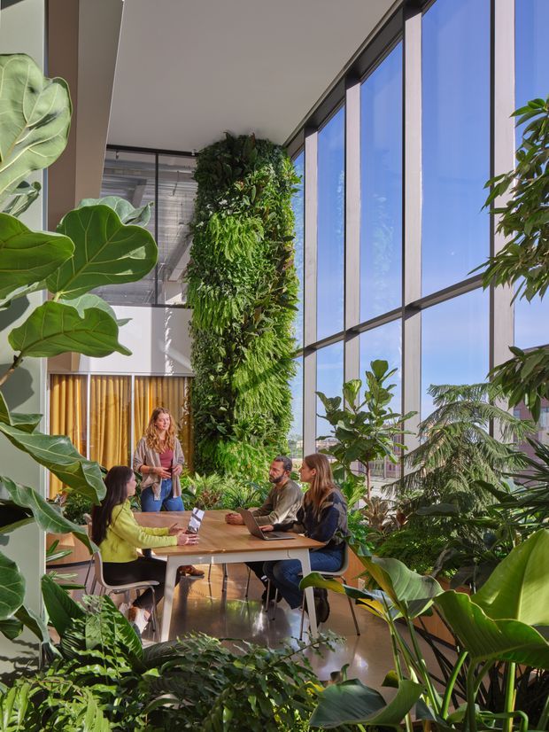 A bright, double-height indoor workspace or communal meeting area filled with lush tropical plants. Several people sit around a timber meeting table with laptops, while full-height glazing brings in abundant daylight and views of blue sky. A vertical living wall and exposed indoor planting create a biophilic, contemporary office-like environment.