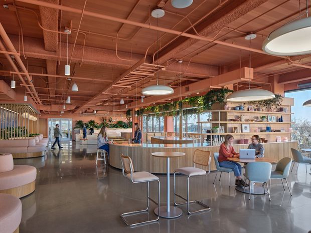 A spacious contemporary commercial interior, likely a café, hospitality venue, or workplace lounge. The open-plan space features a warm terracotta-painted exposed services ceiling, polished concrete flooring, curved timber-clad counters, built-in shelving, extensive glazing, indoor planting, and a mix of bar-height and low café seating. Large circular pendant lights and suspended linear fixtures add visual interest, while people are using the communal seating areas.