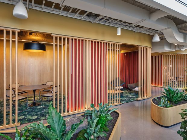 A contemporary open-plan commercial interior with timber-lined meeting and lounge zones screened by vertical timber slats. Red acoustic curtain panels add strong colour behind the partitions, while integrated planters with lush greenery define the circulation area. The exposed ceiling services, suspended pendant lights, polished concrete floor and curved timber planter edges contribute to a modern workplace or hospitality setting.