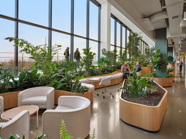 A bright, spacious commercial interior arranged as a biophilic lounge and collaborative workspace. Floor-to-ceiling windows line one side of the space, with extensive built-in timber planters filled with lush greenery dividing upholstered lounge seating, small tables, and work areas. The polished concrete floor, exposed ceiling services, white structural columns, and abundant natural light create a contemporary office or institutional atrium atmosphere.