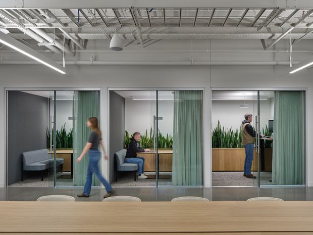 A bright contemporary open-plan office with three enclosed glass meeting rooms along the back wall. Each room has grey acoustic wall panels, built-in upholstered seating, timber planter joinery filled with tall greenery, and pale green curtains. The foreground contains a long light-timber communal table with chairs. The ceiling has exposed services, ducts, cable trays and linear pendant lighting, creating a refined industrial workplace aesthetic.